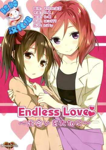 endless love cover 1