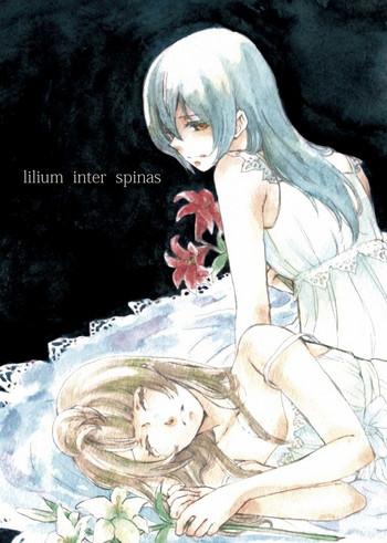 lilium inter spinas cover 1