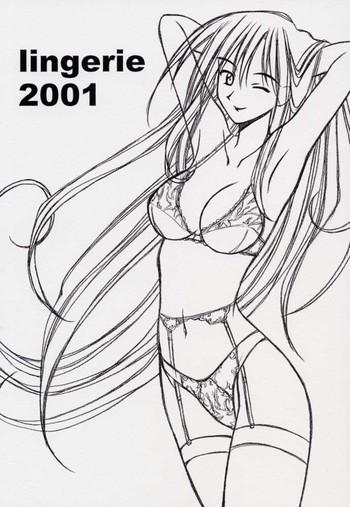 lingerie 2001 cover