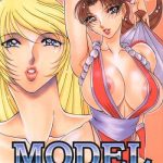 model snk cover