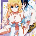 nisenisekoi 5 cover