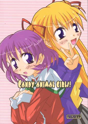 candy animal girls cover