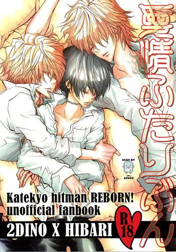 katekyo hitman reborn cover