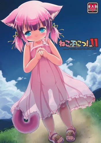 neko puni vol 11 cover