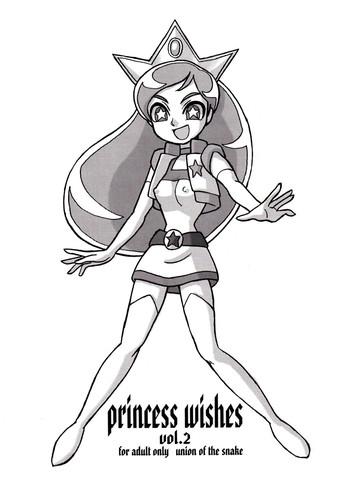 princess wishes vol 2 cover