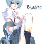 bluebird cover