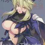 en no nai servant ga kono sekai de musubareru kakuritsu cover