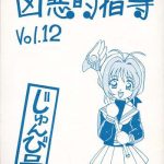 kyouakuteki shidou vol 12 junbigou cover