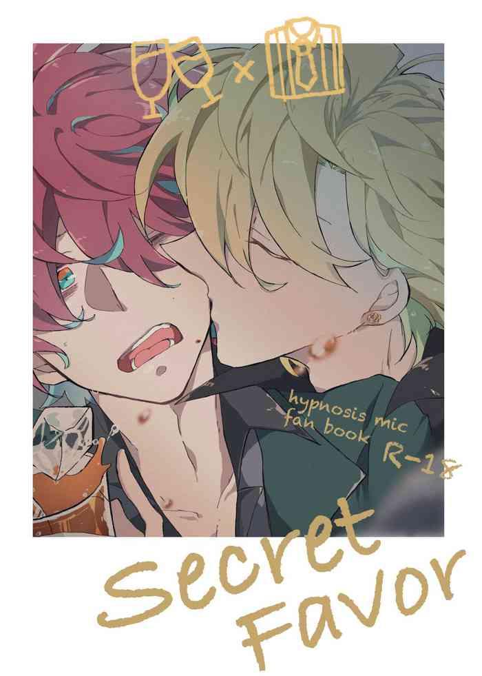 secret favor cover