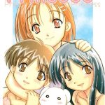 princess cover