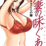 hitozuma no ajiguai cover